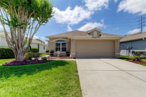 2949 BANYAN HILL LANE, LAND O LAKES, FL 34639 Sold 07/25/24