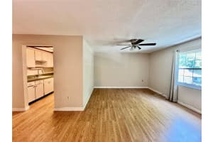 4315 AEGEAN DRIVE, TAMPA, FL 33611 Sold 06/18/24
