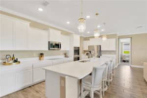 10022 DOLPHIN GULL CIRCLE, THONOTOSASSA, FL 33592 Sold 06/07/24