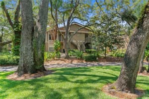 14201 SHADOW MOSS LANE, TAMPA, FL 33613 Sold 07/11/24