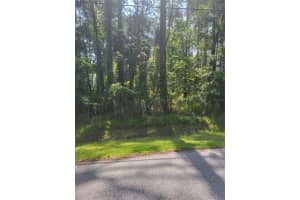 7630 BROOKLINE STREET, WESLEY CHAPEL, FL 33544 Sold 02/27/25