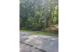 7630 BROOKLINE STREET, WESLEY CHAPEL, FL 33544 Sold 02/27/25
