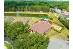 19102 FERN MEADOW LOOP, LUTZ, FL 33558 Sold 07/22/24