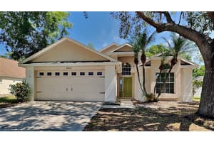 28525 MEADOWRUSH WAY, WESLEY CHAPEL, FL 33543 Sold 11/15/24