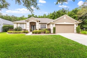 8337 TORRINGTON AVENUE, TAMPA, FL 33647 Sold 06/20/24