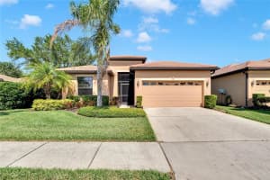 250 SILVER FALLS DRIVE, APOLLO BEACH, FL 33572 Sold 07/22/24