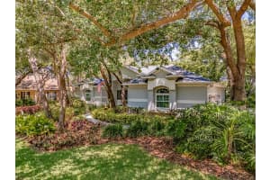 5821 AUDUBON MANOR BOULEVARD, LITHIA, FL 33547 Sold 08/21/24