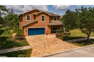 3831 Evergreen Oaks Dr, LUTZ