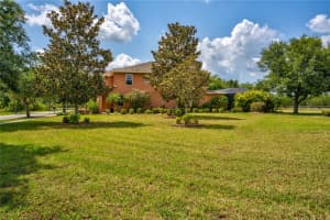 3831 EVERGREEN OAKS DRIVE, LUTZ, FL 33558 - MLS#MFRT3526707