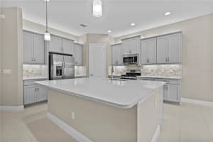 31110 LINDENTREE DRIVE, WESLEY CHAPEL, FL 33543 Sold 10/21/24