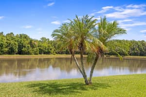 24704 BLAZING TRAIL WAY, LAND O LAKES, FL 34639 Sold 11/25/24