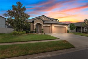 18819 OBREGAN DRIVE, SPRING HILL, FL 34610 Sold 06/28/24