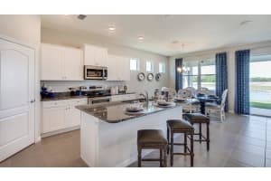 4975 39TH LOOP, OCALA, FL 34482 Sold 12/31/24