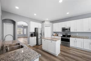 3121 CHESSINGTON DRIVE, LAND O LAKES, FL 34638 Sold 06/26/24