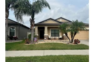 11410 BLUE CRANE STREET, RIVERVIEW, FL 33569 Sold 06/25/24