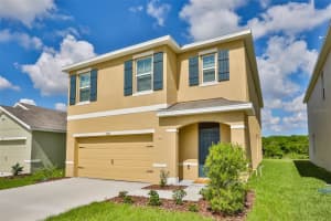 11144 LELAND GROVES DRIVE, RIVERVIEW, FL 33579 Sold 06/24/24
