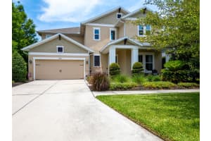 2561 CLAYMORE STREET, ODESSA, FL 33556 Sold 08/14/24