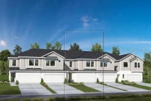 17209 BALANCE COVE, LAND O LAKES, FL 34638 Sold 10/25/24