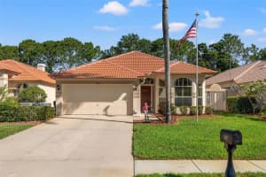 3861 NOTTINGHAM DRIVE, TARPON SPRINGS, FL 34688 Sold 11/14/24