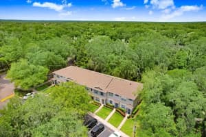 15814 FISHHAWK FALLS DRIVE, LITHIA, FL 33547 Sold 09/23/24