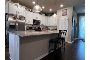 13909 KINGFISHER GLEN DRIVE, LITHIA, FL 33547 Sold 04/25/25