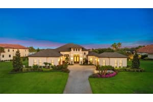 10741 OSPREY LANDING WAY, THONOTOSASSA, FL 33592 Sold 07/05/24