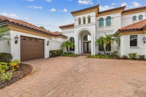 12310 STONELAKE RANCH BOULEVARD, THONOTOSASSA, FL 33592 - MLS#MFRT3528010