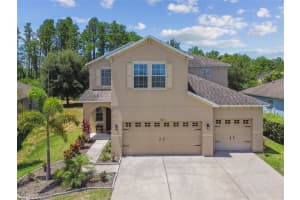 5323 DITTANY COURT, LAND O LAKES, FL 34639 Sold 08/08/24