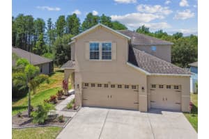 5323 DITTANY COURT, LAND O LAKES, FL 34639 Sold 08/08/24
