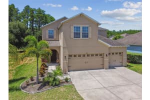 5323 DITTANY COURT, LAND O LAKES, FL 34639 Sold 08/08/24