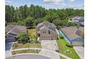 5323 DITTANY COURT, LAND O LAKES, FL 34639 Sold 08/08/24