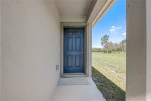 1160 PAPAYA CIRCLE, DAVENPORT, FL 33897 Sold 08/08/24