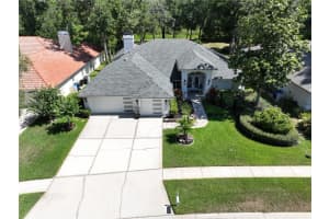 410 STRATFIELD DRIVE, LUTZ, FL 33549 Sold 08/02/24