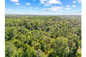 0 DOTHAN STREET, NEW PORT RICHEY, FL 34654 - MLS#MFRT3528455