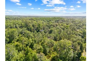 0 DOTHAN STREET, NEW PORT RICHEY, FL 34654 - MLS#MFRT3528455