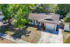 6626 WINDING OAK DRIVE, TAMPA, FL 33625 Sold 07/25/24