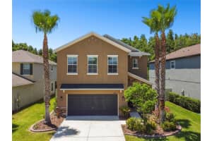 1687 LUDINGTON AVENUE, WESLEY CHAPEL, FL 33543 Sold 07/03/24