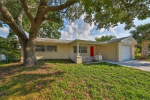 8233 FISHHAWK AVENUE, NEW PORT RICHEY, FL 34653 Sold 10/07/24