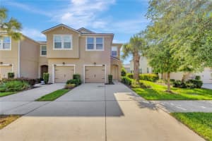 10223 NEWEL VALLEY LOOP, RIVERVIEW, FL 33569 Sold 07/22/24