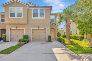 10223 NEWEL VALLEY LOOP, RIVERVIEW, FL 33569 Sold 07/22/24