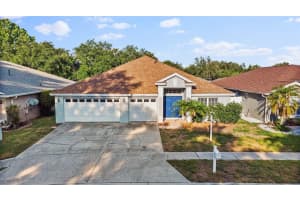 10557 SAN TRAVASO DRIVE, TAMPA, FL 33647 Sold 11/10/24