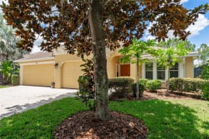 15605 STARLING WATER DRIVE, LITHIA, FL 33547 Sold 09/25/24