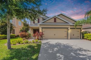 33181 SHADOW BRANCH LANE, WESLEY CHAPEL, FL 33545 Sold 11/22/24