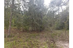 105 DRAYCOTT AVENUE, LAKE PLACID, FL 33852 Sold 05/13/25