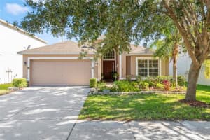 10632 SHADY PRESERVE DRIVE, RIVERVIEW, FL 33579 Sold 08/15/24