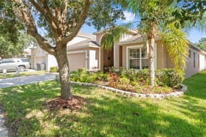 10632 SHADY PRESERVE DRIVE, RIVERVIEW, FL 33579 Sold 08/15/24