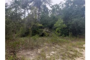 1141 MACAW AVENUE, LAKE PLACID, FL 33852 Sold 05/12/25