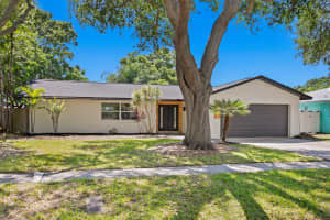 1242 DINNER BELL LANE, DUNEDIN, FL 34698 Sold 12/06/24