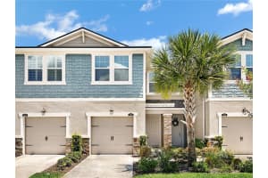 11522 CAMBIUM CROWN DRIVE, RIVERVIEW, FL 33569 Sold 07/17/25