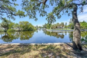 9105 TUDOR DRIVE, TAMPA, FL 33615 Sold 06/20/24